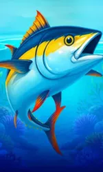 Big Boat Big Catch